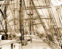 "Shenandoah", four masted bark